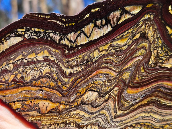 Polished Tiger Iron slab TI357