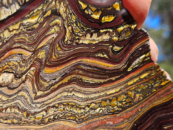 Polished Tiger Iron slab TI357