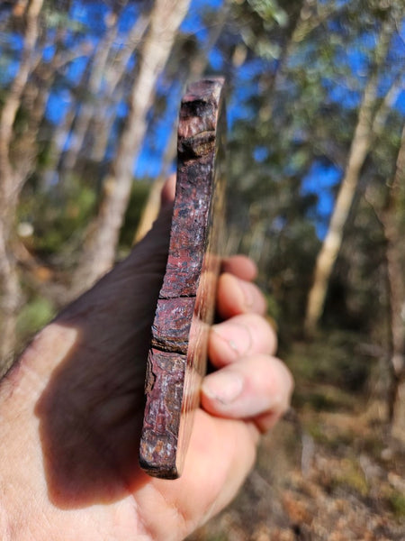 Polished Tiger Iron slab TI357