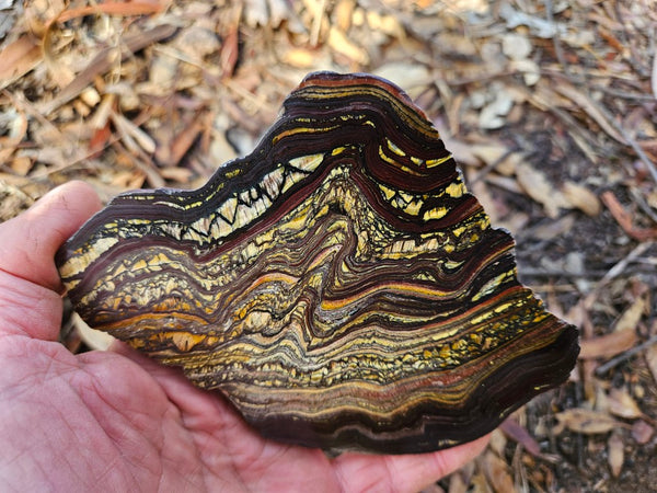 Polished Tiger Iron slab TI357
