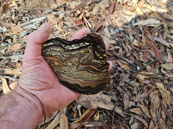 Polished Tiger Iron slab TI357