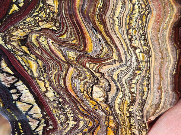 Polished Tiger Iron slab TI357