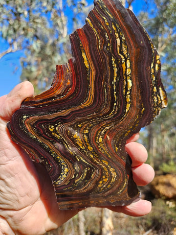 Polished Tiger Iron slab TI358