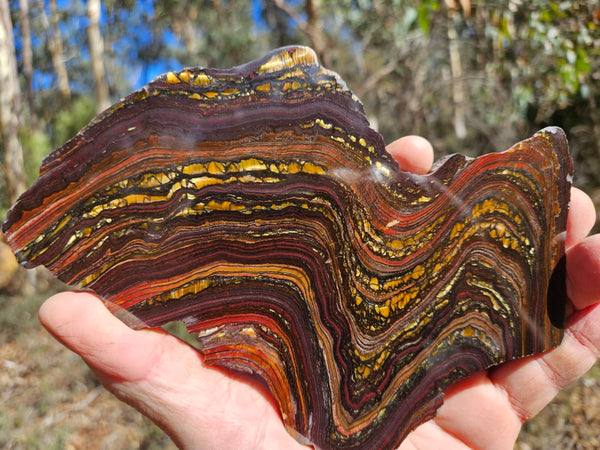 Polished Tiger Iron slab TI358