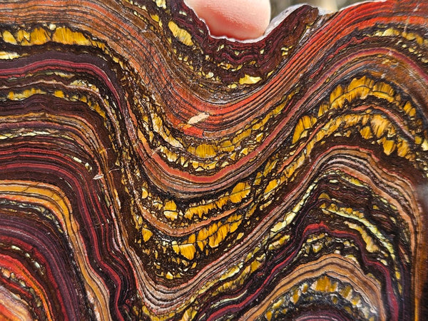 Polished Tiger Iron slab TI358