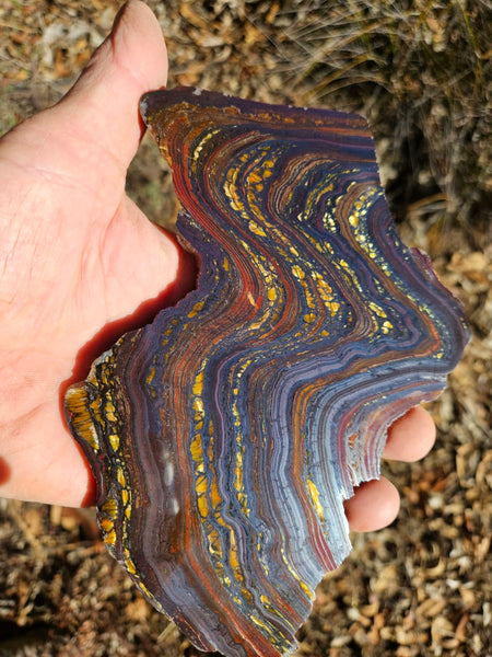 Polished Tiger Iron slab TI358