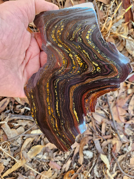Polished Tiger Iron slab TI358