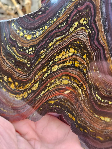 Polished Tiger Iron slab TI358