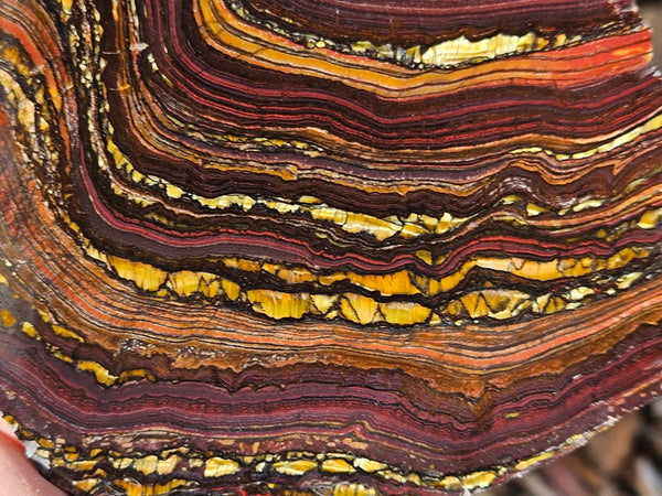 Polished Tiger Iron slab TI358