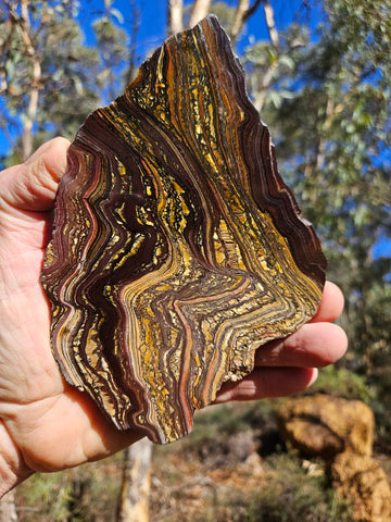 Polished Tiger Iron slab TI360