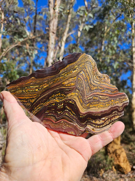 Polished Tiger Iron slab TI360