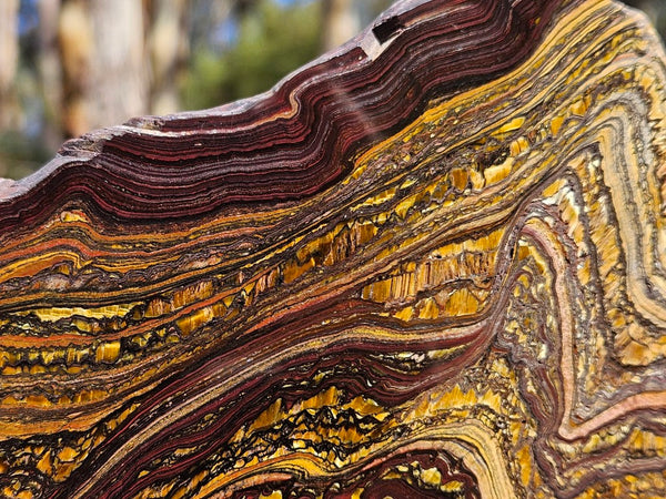 Polished Tiger Iron slab TI360
