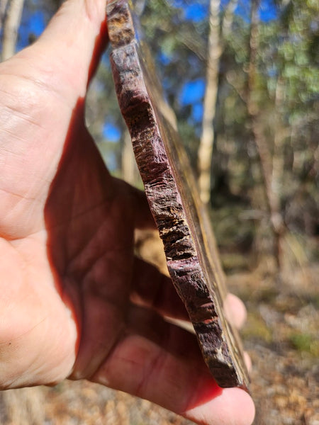 Polished Tiger Iron slab TI360
