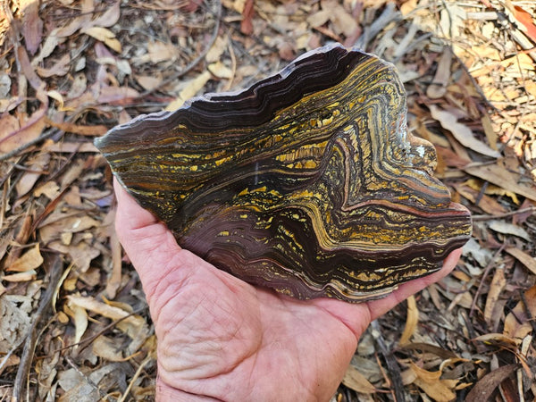 Polished Tiger Iron slab TI360