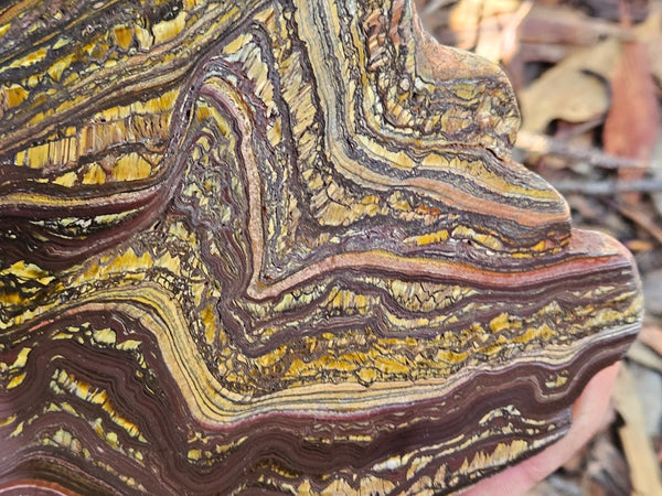 Polished Tiger Iron slab TI360