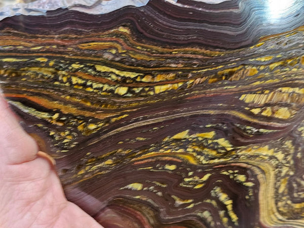 Polished Tiger Iron slab TI360