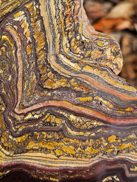 Polished Tiger Iron slab TI360
