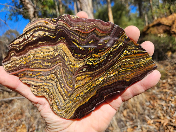 Polished Tiger Iron slab TI360