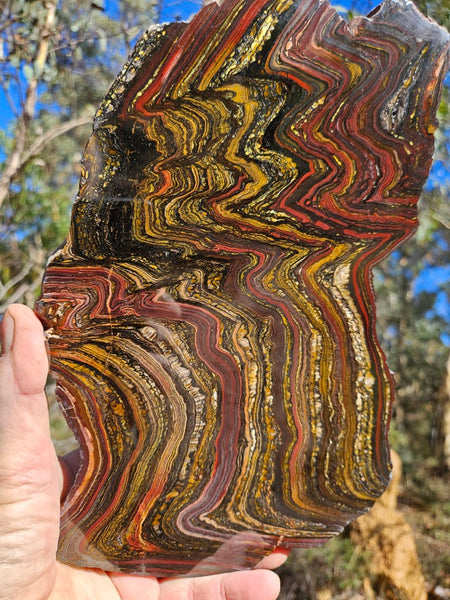 Polished Tiger Iron slab TI359
