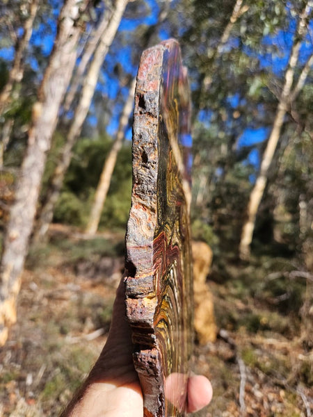 Polished Tiger Iron slab TI359