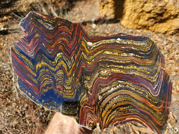 Polished Tiger Iron slab TI359