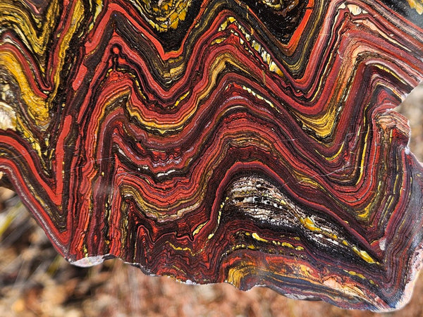 Polished Tiger Iron slab TI359