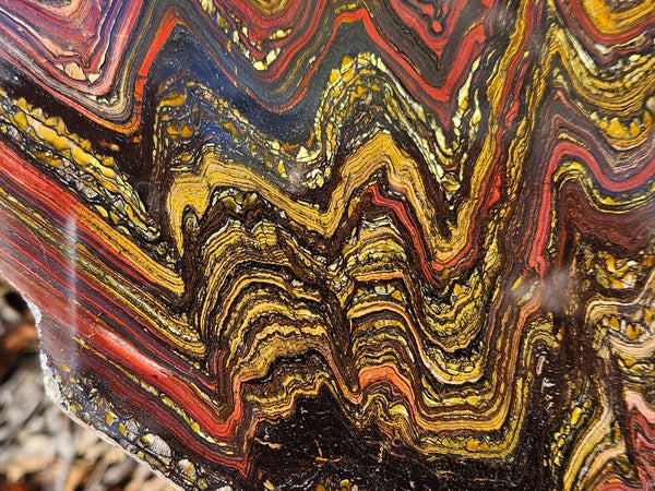 Polished Tiger Iron slab TI359