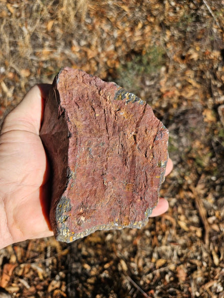 Polished Tiger Iron  TI361