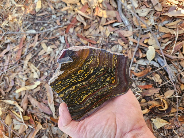 Polished Tiger Iron  TI361