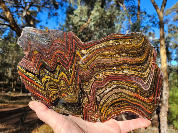 Polished Tiger Iron slab TI359