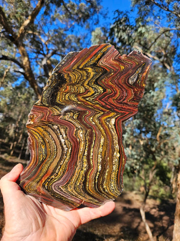 Polished Tiger Iron slab TI359