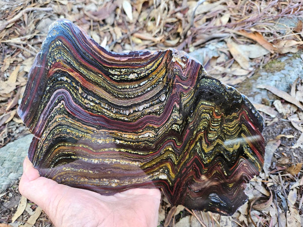 Polished Tiger Iron slab TI359