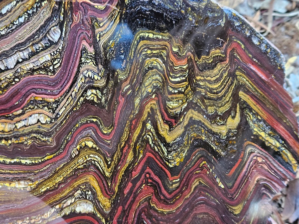 Polished Tiger Iron slab TI359