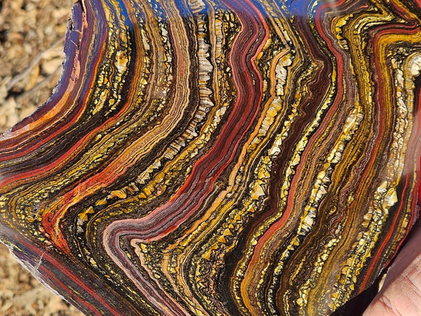 Polished Tiger Iron slab TI359