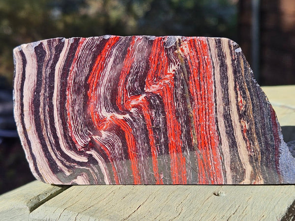 Polished Snakeskin Jasper SS199