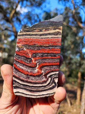 Polished Snakeskin Jasper SS199