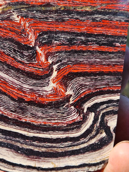 Polished Snakeskin Jasper SS199