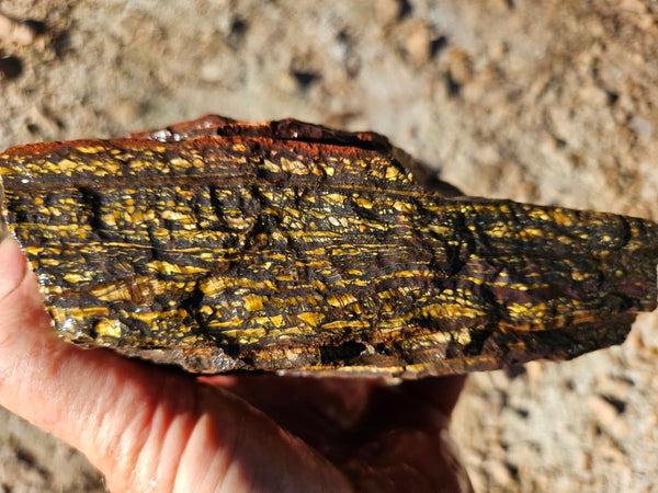 Tiger Iron rough rock TIR176