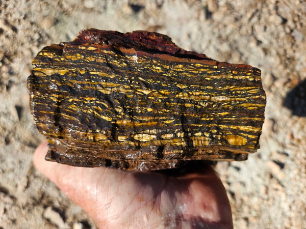 Tiger Iron rough rock TIR176