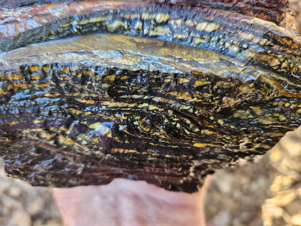 Tiger Iron rough rock TIR176