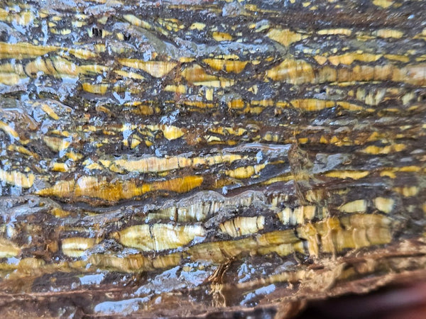 Tiger Iron rough rock TIR176