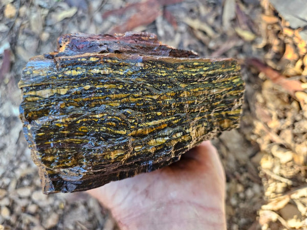 Tiger Iron rough rock TIR176