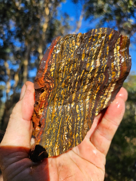 Tiger Iron rough rock TIR175