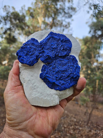 Azurite Sun  AZ152