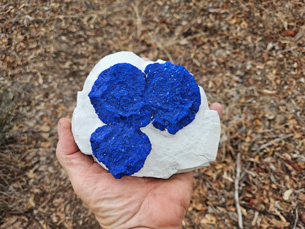 Azurite Sun  AZ152