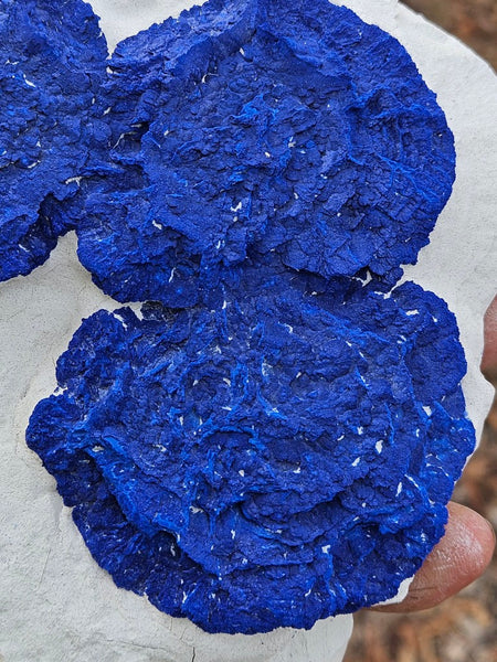 Azurite Sun  AZ152
