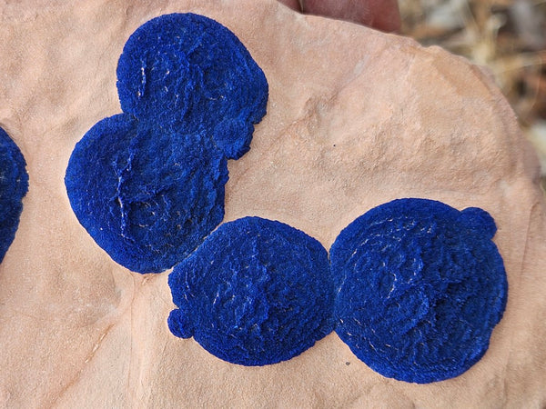 Azurite Sun  AZ155