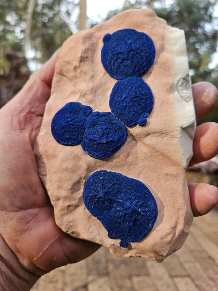 Azurite Sun  AZ155