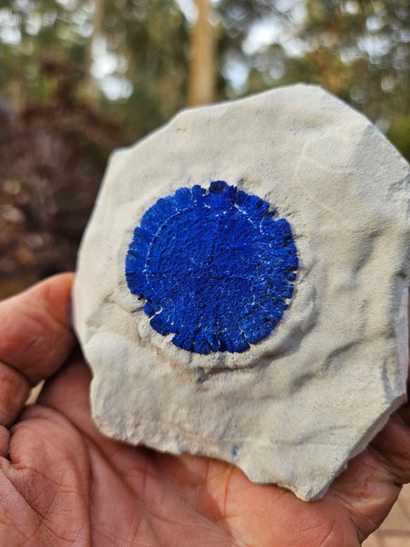 Azurite Sun  AZ153