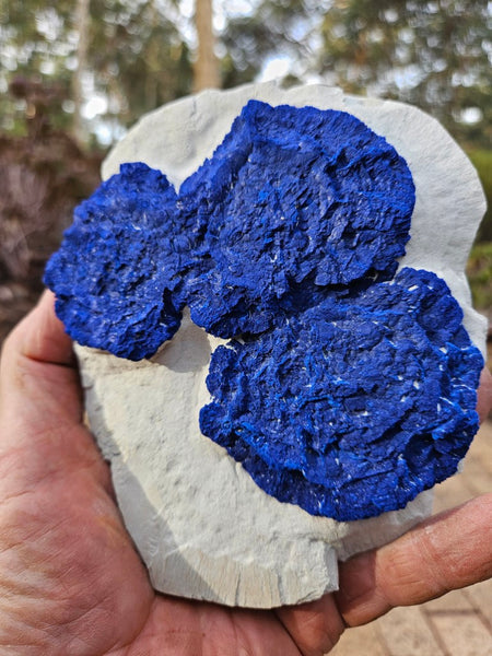 Azurite Sun  AZ152